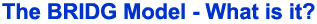What is the BRIDG Model?